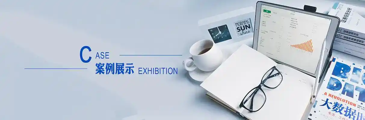 周口市软件开发